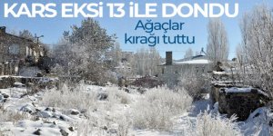 Kars eksi 13 ile dondu, ağaçlar kırağı tuttu