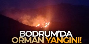 Bodrum'da orman yangını !