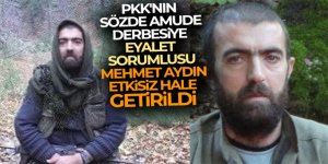 MİT, terör örgütü PKK/YPG'nin sözde eyalet sorumlusunu Suriye'de etkisiz hale getirdi