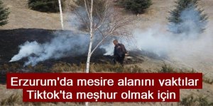 Erzurum'da Tiktok akımı için mesire alanını yaktılar