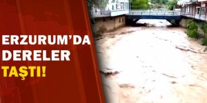 Erzurum'da eriyen kar taşkına neden oldu