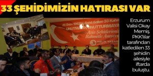 Vali Memiş: Terörle mücadele kararlılıkla sürüyor