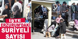 Erzurum'da kaç göçmen var: İçişleri Bakanlığı Suriyelilerle ilgili resmi sayıyı açıkladı