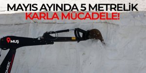 Muş'ta mayıs ayında 5 metrelik karla mücadele