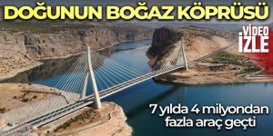 Nissibi Köprüsü'nden 7 yılda 4 milyondan fazla araç geçti