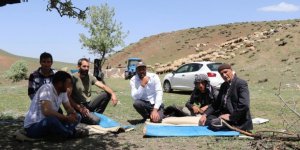 Erzincan’da göçerlerin yaylalardaki mesaisi başladı