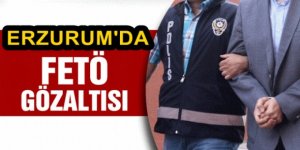 Erzurum merkezli 7 ilde FETÖ/PDY operasyonu