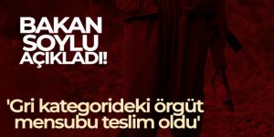 İçişleri Bakanı Soylu: 'Gri kategorideki örgüt mensubu teslim oldu'
