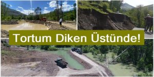 Tortum Diken Üstünde!