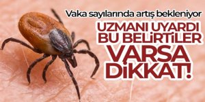 Kene ısırması belirtisi nasıl anlaşılır? Uzmanı uyardı! Vaka sayılarında artış bekleniyor