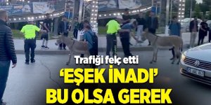 Erzurum'da trafiki felç etti: ‘Eşek inadı’ bu olsa gerek...