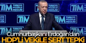 Cumhurbaşkanı Erdoğan'dan HDP'li vekile sert tepki!