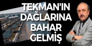Tekman'ın dağlarına bahar gelmiş