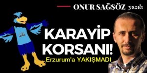 Karayip korsanı!