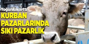 Kurban pazarlarında sıkı pazarlık