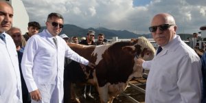 Vali Memiş ve Başkan Sekmen "Avrupa'nın en büyük canlı hayvan pazarında" incelemelerde bulundu
