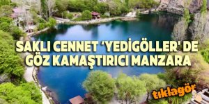 Saklı Cennet ‘Yedigöller’de mest eden manzara