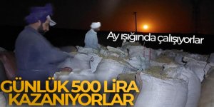 Ay ışığında çalışıyorlar, günlük 500 lira kazanıyorlar