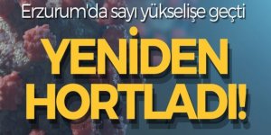 Rakamlar endişe verici... Erzurum'da sayı yükselişte!