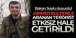 Kırmızı bültenle aranan terörist etkisiz hale getirildi