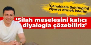 Demirtaş: Silah meselesini kalıcı diyalogla çözebiliriz