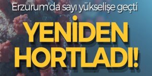 Erzurum'da vakalar yüzde 50 arttı