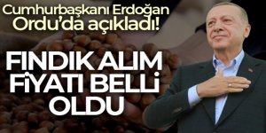 Cumhurbaşkanı Erdoğan fındık alım fiyatını açıkladı: 'Ortalaması 54 TL'