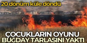 Erzurum'da Çocuklar buğday tarlasını yaktı, 20 dönüm küle döndü