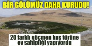 Erzurum'da bu göl kurudu: Göçmen kuşlar gölsüz kaldı