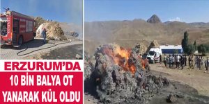 10 bin balya ot yanarak kül oldu