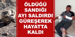 Erzurum'da Öldüğünü sandığı ayının saldırısına uğradı
