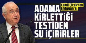 Cemil Çiçek'ten Erdoğan'a: Adama kirlettiği testiden su içirirler