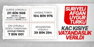 Türk vatandaşlığı kazananların sayısı yayınlandı
