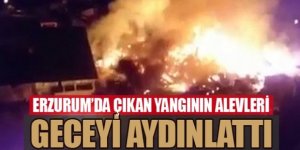 Erzurum'da samanlık yangını: Çevredeki evlere sıçradı
