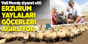 Erzurum yaylaları göçerleri ağırlıyor