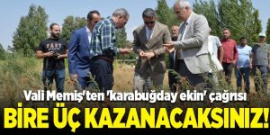 Bire üç kazanacaksınız!
