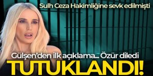 Şarkıcı Gülşen tutuklandı