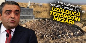 Tanrıkulu'nun üzüldüğü teröristin mezarı Erzurum'da