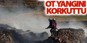 Horasan’da ot yangını