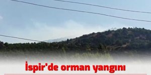 İspir’de orman yangını