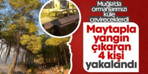 Muğla'da maytap ile ormanı yaktılar