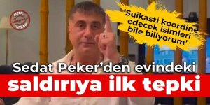 Sedat Peker: Saldırıyı biliyordum