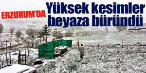 Erzurum’da yüksek kesimlerde kar sürprizi