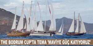 'American Hospital The Bodrum Cup' bu sene “Maviye Güç Katıyoruz” sloganıyla başlıyor