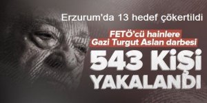 Erzurum yapılanmasına büyük darbe: 13 hedef çökertildi