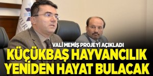 Erzurum'da Küçükbaş hayvancılık yeniden hayat bulacak
