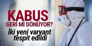 Koronavirüste iki yeni varyant tespit edildi