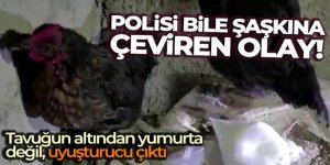 Tavuğun altından yumurta değil, uyuşturucu çıktı