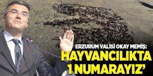 Vali Memiş: Hayvancılıkta Türkiye’de 1 numarayız