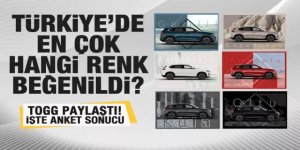 Togg anketi paylaştı! İşte Türkiye'de en çok beğenilen renk